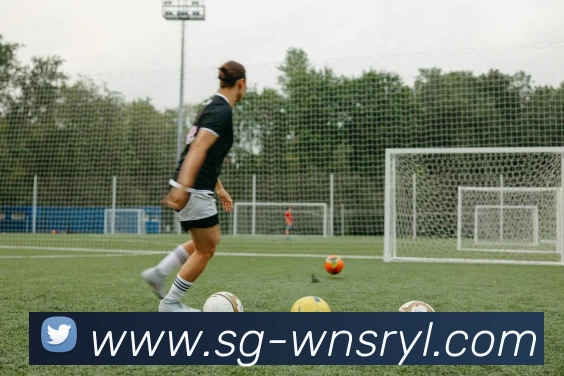 威尼斯人线上娱乐平台生态图